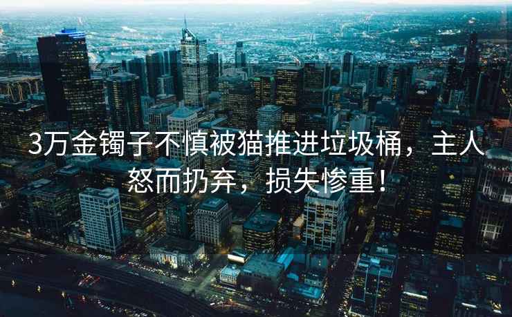 3萬(wàn)金鐲子不慎被貓推進(jìn)垃圾桶，主人怒而扔棄，損失慘重！
