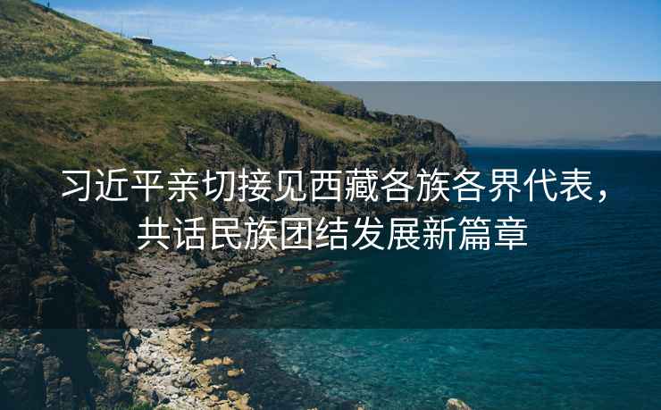 習近平親切接見西藏各族各界代表，共話民族團結發展新篇章