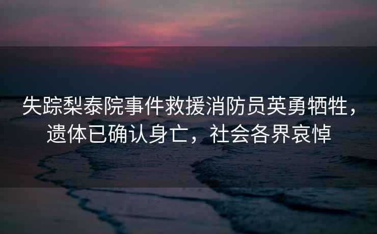 失蹤梨泰院事件救援消防員英勇犧牲，遺體已確認身亡，社會各界哀悼