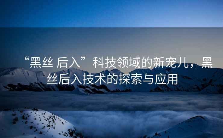 “黑絲 后入”科技領域的新寵兒，黑絲后入技術的探索與應用
