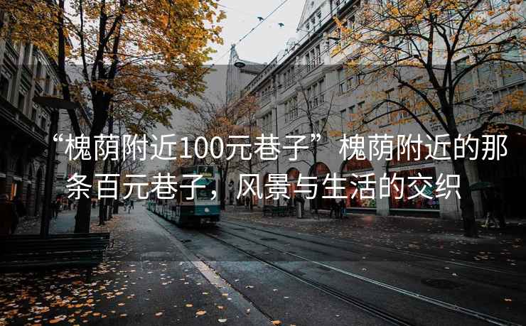“槐蔭附近100元巷子”槐蔭附近的那條百元巷子，風(fēng)景與生活的交織