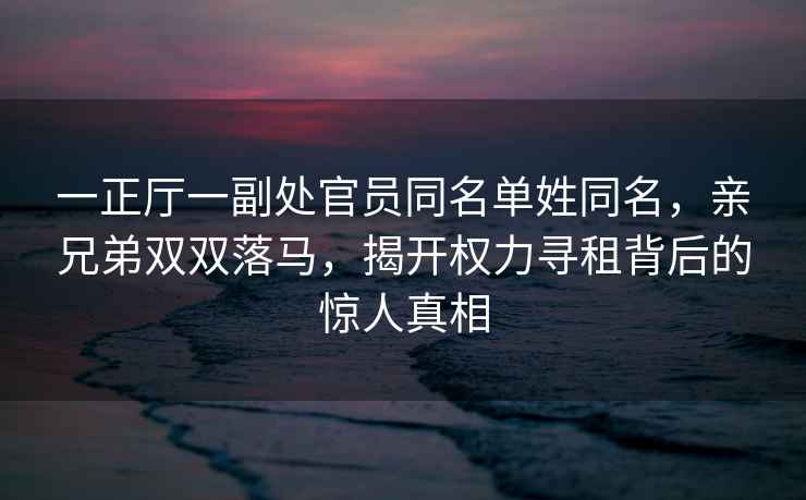一正廳一副處官員同名單姓同名，親兄弟雙雙落馬，揭開權(quán)力尋租背后的驚人真相