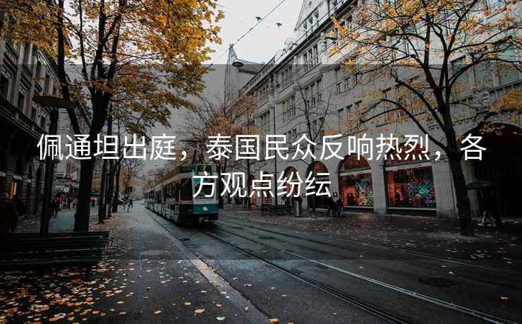 佩通坦出庭，泰國民眾反響熱烈，各方觀點紛紜