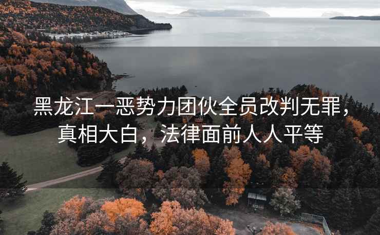 黑龍江一惡勢力團伙全員改判無罪，真相大白，法律面前人人平等