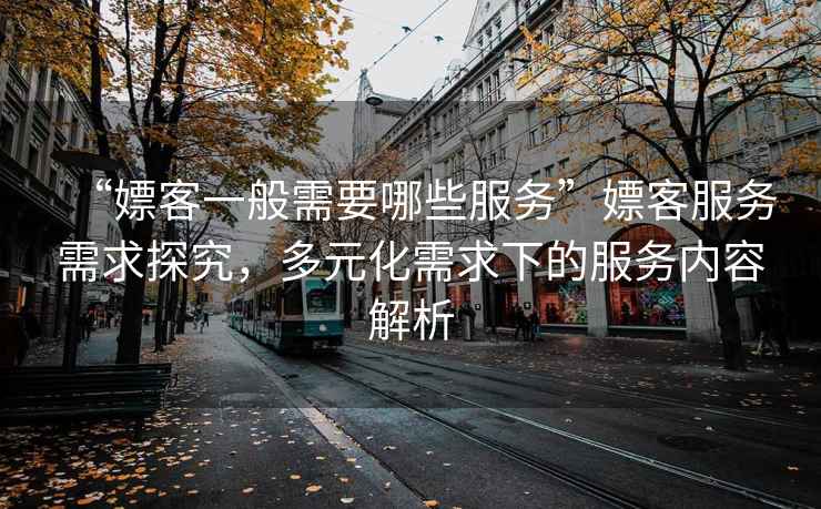 “嫖客一般需要哪些服務”嫖客服務需求探究，多元化需求下的服務內容解析