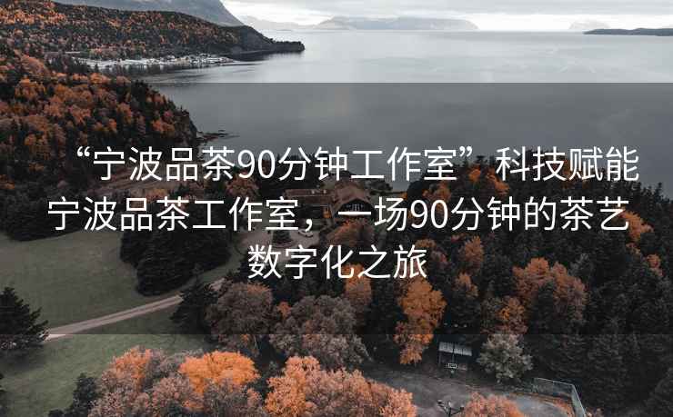 “寧波品茶90分鐘工作室”科技賦能寧波品茶工作室，一場90分鐘的茶藝數字化之旅