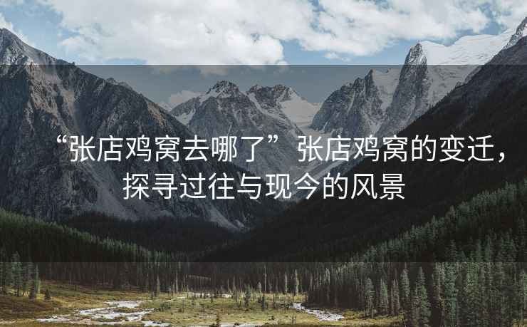 “張店雞窩去哪了”張店雞窩的變遷，探尋過往與現今的風景