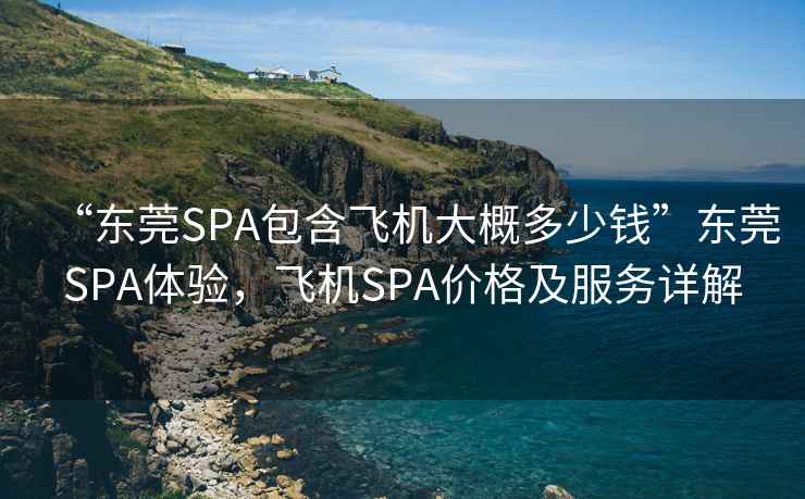 “東莞SPA包含飛機(jī)大概多少錢”東莞SPA體驗(yàn)，飛機(jī)SPA價(jià)格及服務(wù)詳解