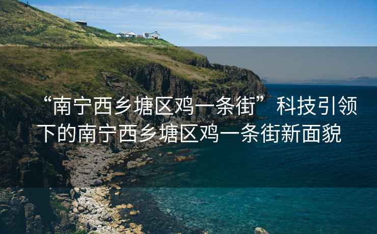 “南寧西鄉塘區雞一條街”科技引領下的南寧西鄉塘區雞一條街新面貌