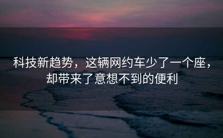 科技新趨勢(shì)，這輛網(wǎng)約車少了一個(gè)座，卻帶來了意想不到的便利