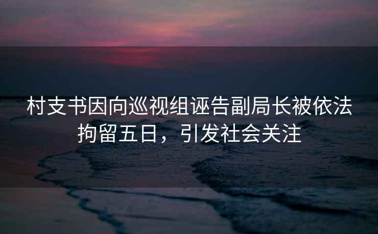 村支書因向巡視組誣告副局長被依法拘留五日，引發社會關注