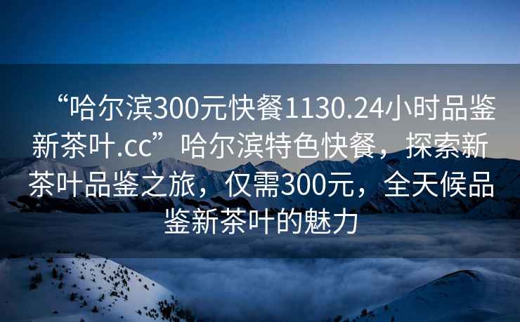 “哈爾濱300元快餐1130.24小時品鑒新茶葉.cc”哈爾濱特色快餐，探索新茶葉品鑒之旅，僅需300元，全天候品鑒新茶葉的魅力