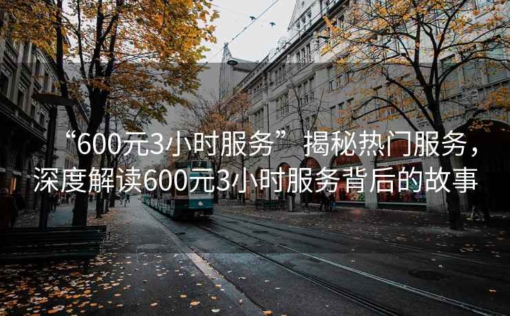 “600元3小時服務”揭秘熱門服務，深度解讀600元3小時服務背后的故事