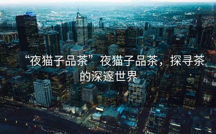 “夜貓子品茶”夜貓子品茶，探尋茶的深邃世界
