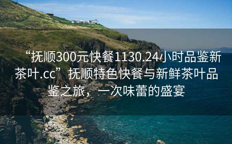 “撫順300元快餐1130.24小時品鑒新茶葉.cc”撫順特色快餐與新鮮茶葉品鑒之旅，一次味蕾的盛宴