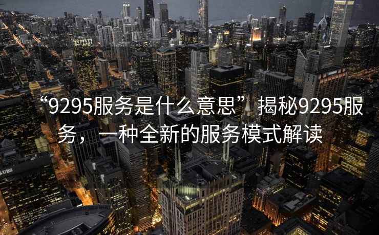 “9295服務(wù)是什么意思”揭秘9295服務(wù)，一種全新的服務(wù)模式解讀