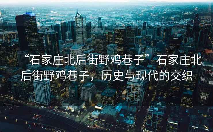 “石家莊北后街野雞巷子”石家莊北后街野雞巷子，歷史與現代的交織