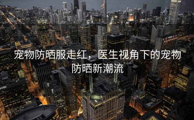 寵物防曬服走紅，醫生視角下的寵物防曬新潮流