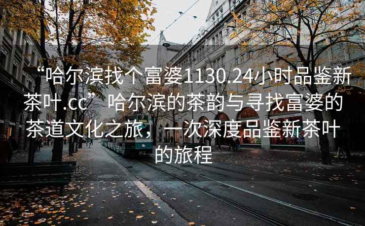 “哈爾濱找個富婆1130.24小時品鑒新茶葉.cc”哈爾濱的茶韻與尋找富婆的茶道文化之旅，一次深度品鑒新茶葉的旅程