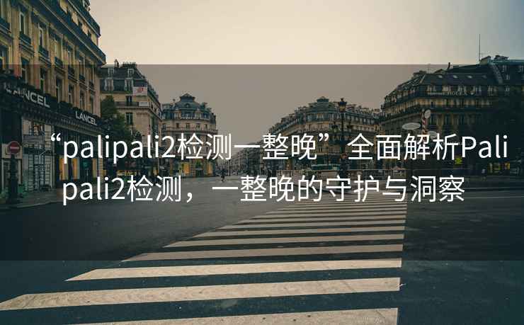 “palipali2檢測一整晚”全面解析Palipali2檢測，一整晚的守護與洞察