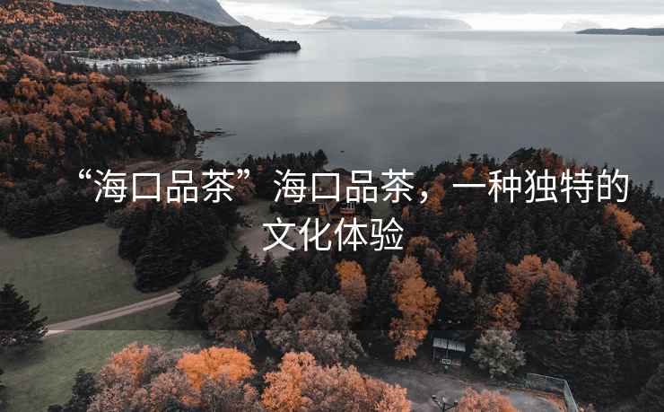 “海口品茶”海口品茶，一種獨特的文化體驗