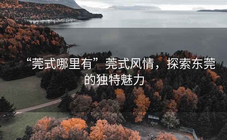 “莞式哪里有”莞式風(fēng)情，探索東莞的獨(dú)特魅力