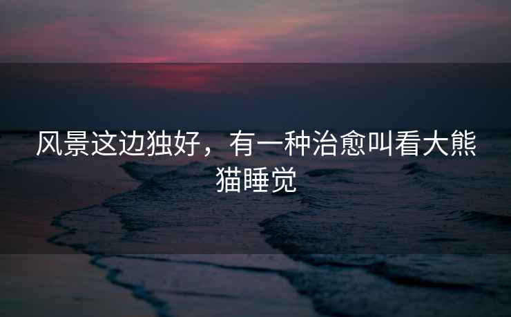 風景這邊獨好，有一種治愈叫看大熊貓睡覺