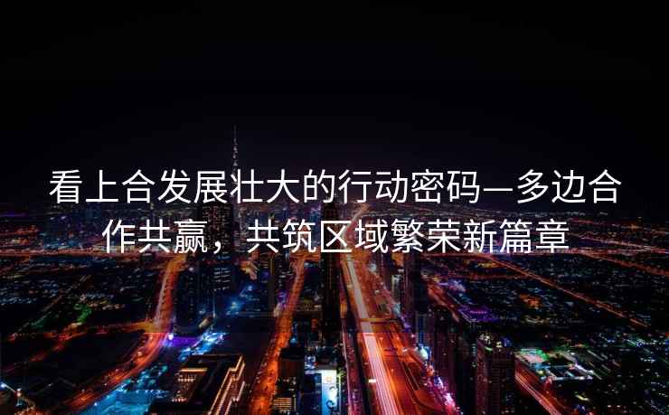 看上合發展壯大的行動密碼—多邊合作共贏，共筑區域繁榮新篇章