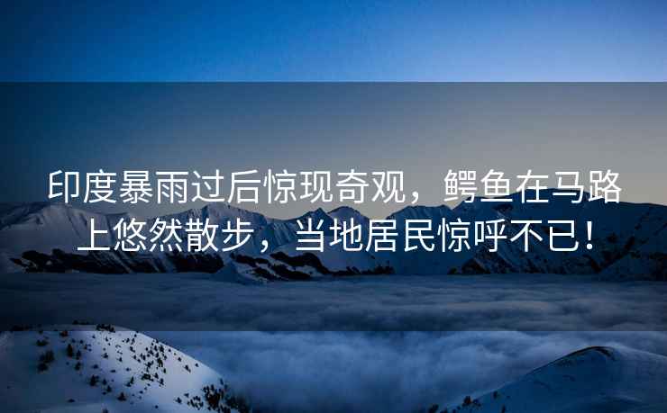 印度暴雨過后驚現奇觀，鱷魚在馬路上悠然散步，當地居民驚呼不已！