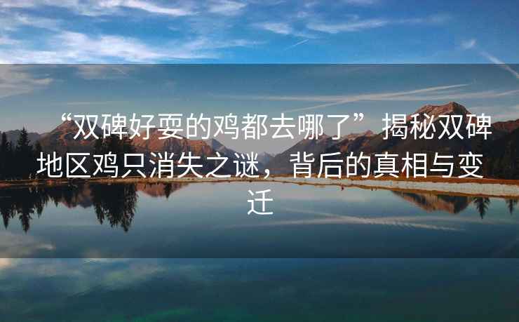 “雙碑好耍的雞都去哪了”揭秘雙碑地區(qū)雞只消失之謎，背后的真相與變遷