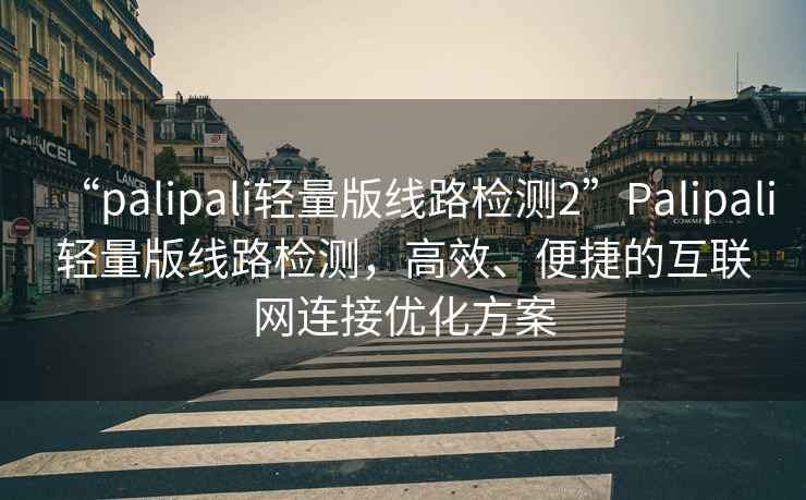 “palipali輕量版線路檢測2”Palipali輕量版線路檢測，高效、便捷的互聯網連接優化方案