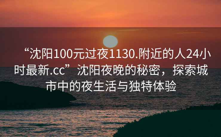 “沈陽100元過夜1130.附近的人24小時最新.cc”沈陽夜晚的秘密，探索城市中的夜生活與獨特體驗