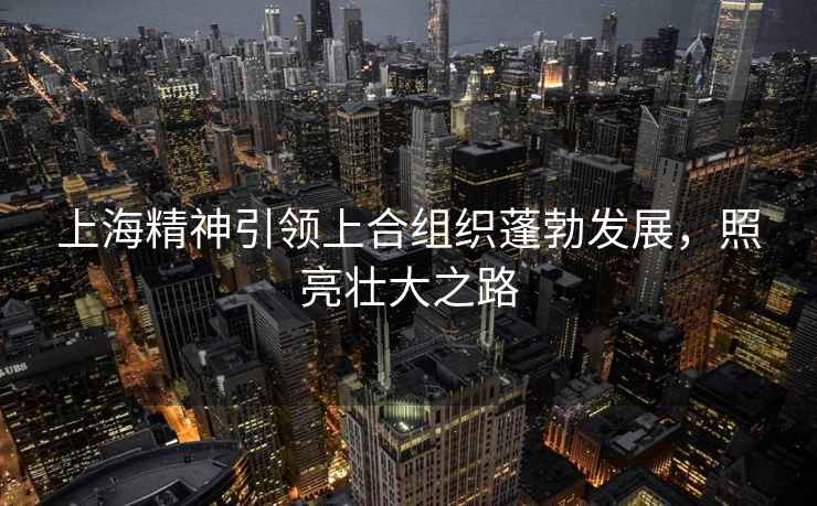 上海精神引領上合組織蓬勃發展，照亮壯大之路