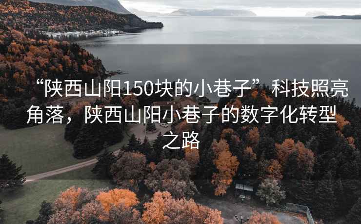 “陜西山陽150塊的小巷子”科技照亮角落，陜西山陽小巷子的數字化轉型之路