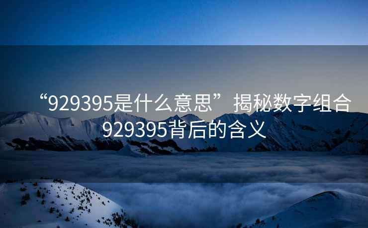“929395是什么意思”揭秘數(shù)字組合929395背后的含義