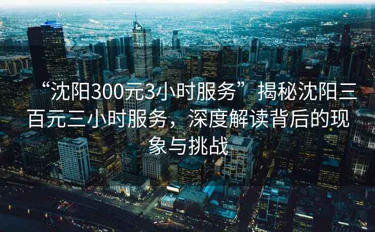 “沈陽300元3小時服務”揭秘沈陽三百元三小時服務，深度解讀背后的現象與挑戰