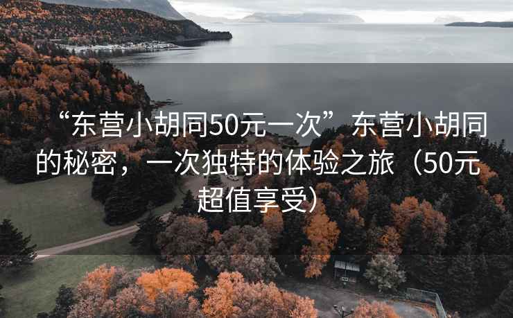 “東營(yíng)小胡同50元一次”東營(yíng)小胡同的秘密，一次獨(dú)特的體驗(yàn)之旅（50元超值享受）