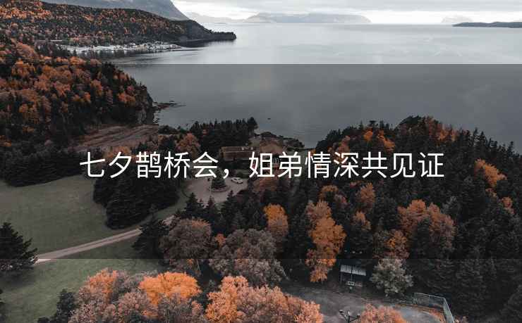 七夕鵲橋會，姐弟情深共見證