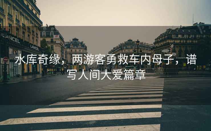 水庫(kù)奇緣，兩游客勇救車內(nèi)母子，譜寫人間大愛篇章
