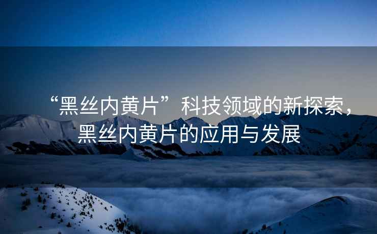 “黑絲內(nèi)黃片”科技領(lǐng)域的新探索，黑絲內(nèi)黃片的應(yīng)用與發(fā)展