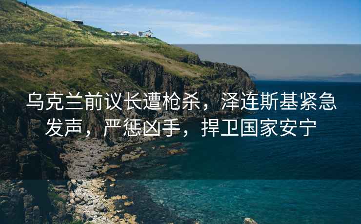 烏克蘭前議長遭槍殺，澤連斯基緊急發聲，嚴懲兇手，捍衛國家安寧