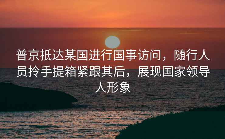 普京抵達某國進行國事訪問，隨行人員拎手提箱緊跟其后，展現國家領導人形象