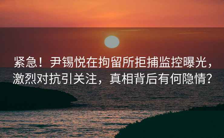 緊急！尹錫悅在拘留所拒捕監控曝光，激烈對抗引關注，真相背后有何隱情？