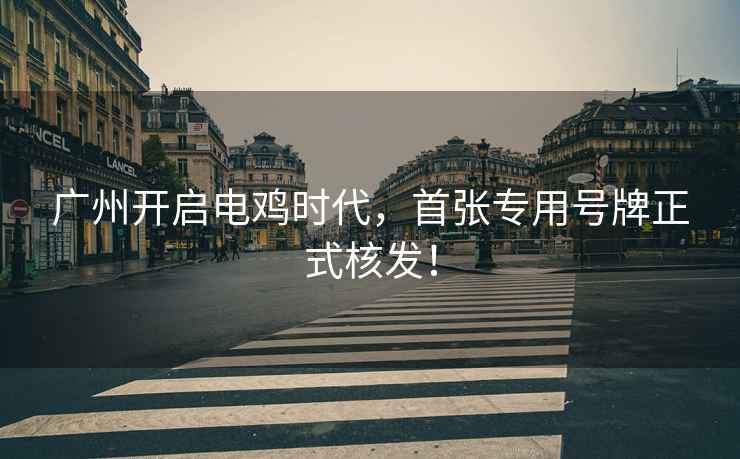 廣州開啟電雞時代，首張專用號牌正式核發！