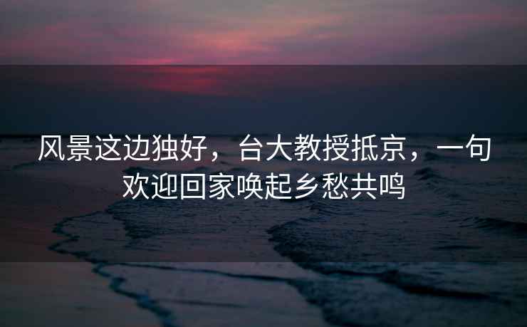 風(fēng)景這邊獨(dú)好，臺大教授抵京，一句歡迎回家喚起鄉(xiāng)愁共鳴