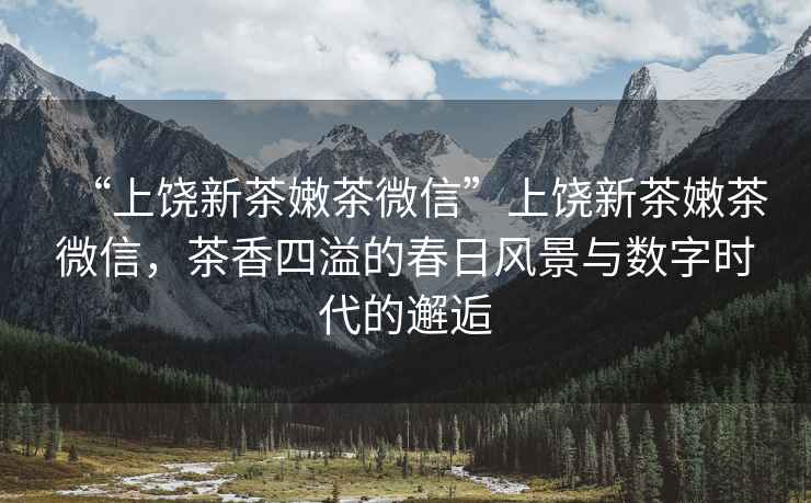 “上饒新茶嫩茶微信”上饒新茶嫩茶微信，茶香四溢的春日風(fēng)景與數(shù)字時代的邂逅