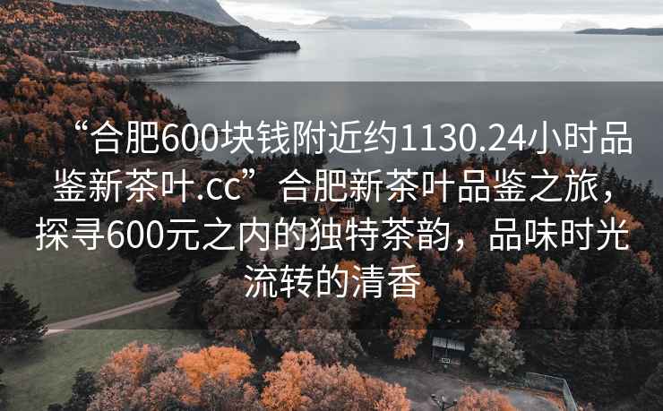 “合肥600塊錢附近約1130.24小時品鑒新茶葉.cc”合肥新茶葉品鑒之旅，探尋600元之內的獨特茶韻，品味時光流轉的清香