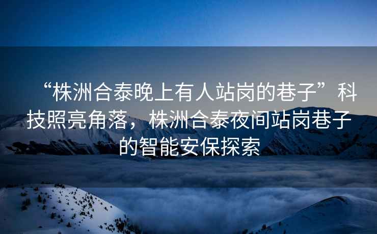 “株洲合泰晚上有人站崗的巷子”科技照亮角落，株洲合泰夜間站崗巷子的智能安保探索