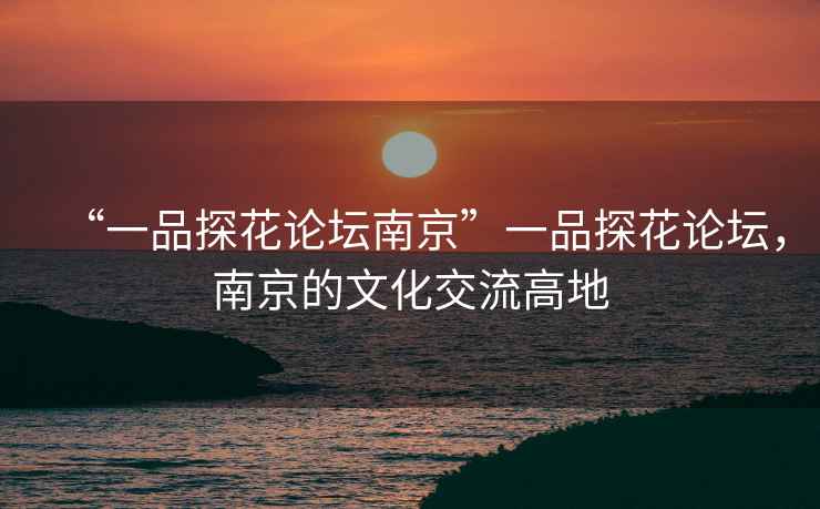 “一品探花論壇南京”一品探花論壇，南京的文化交流高地