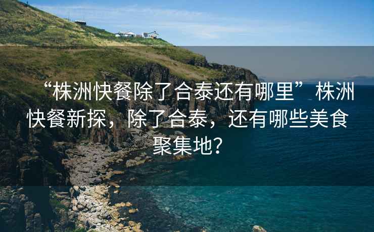 “株洲快餐除了合泰還有哪里”株洲快餐新探，除了合泰，還有哪些美食聚集地？